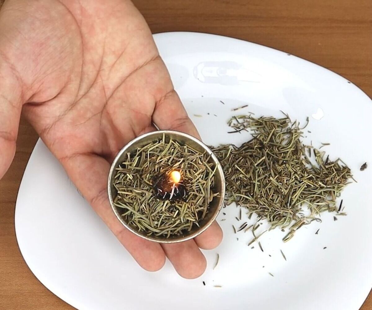 How To Burn Rosemary For Mosquitoes