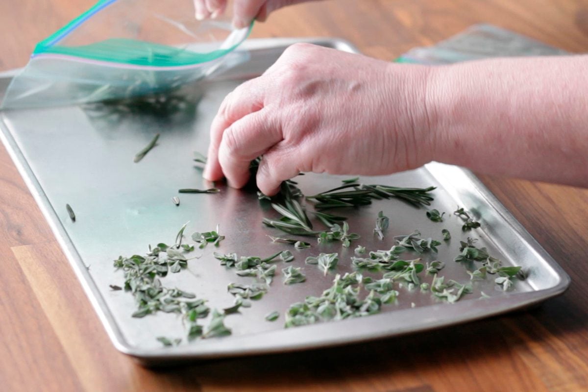 How To Freeze Thyme And Rosemary