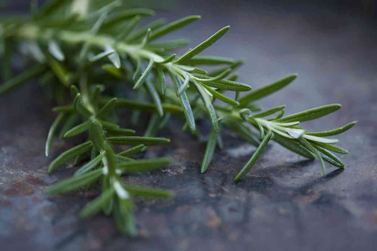 How To Use Rosemary For Memory