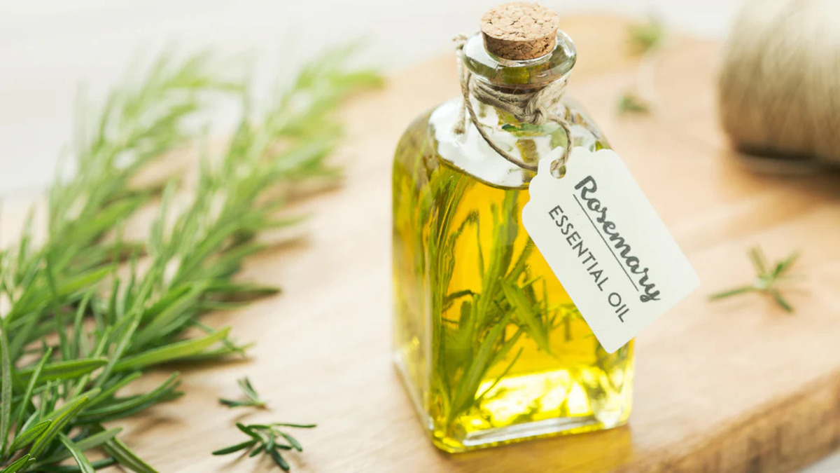 What Can Rosemary Essential Oil Be Used For