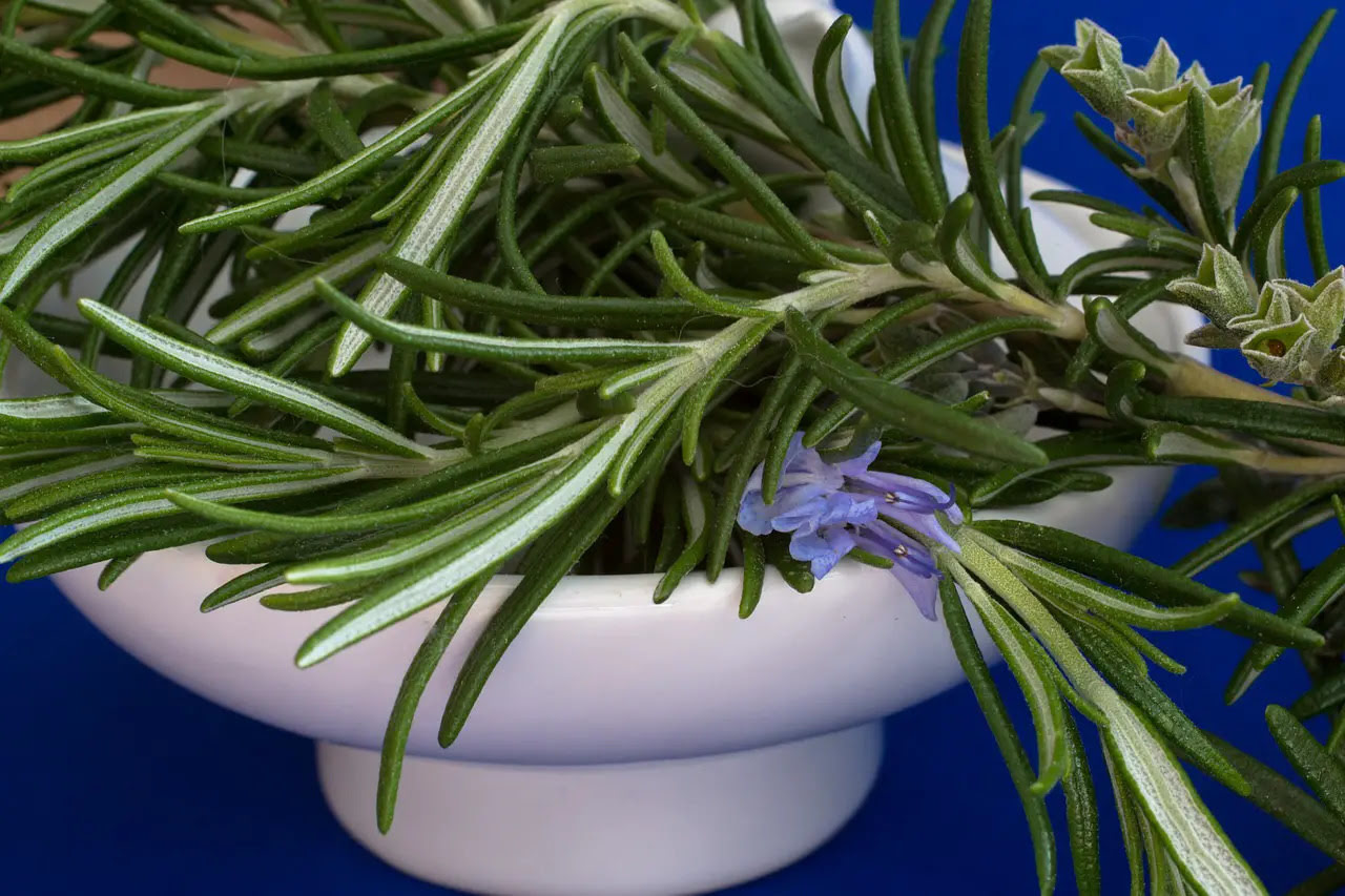 What To Do With Fresh Thyme And Rosemary