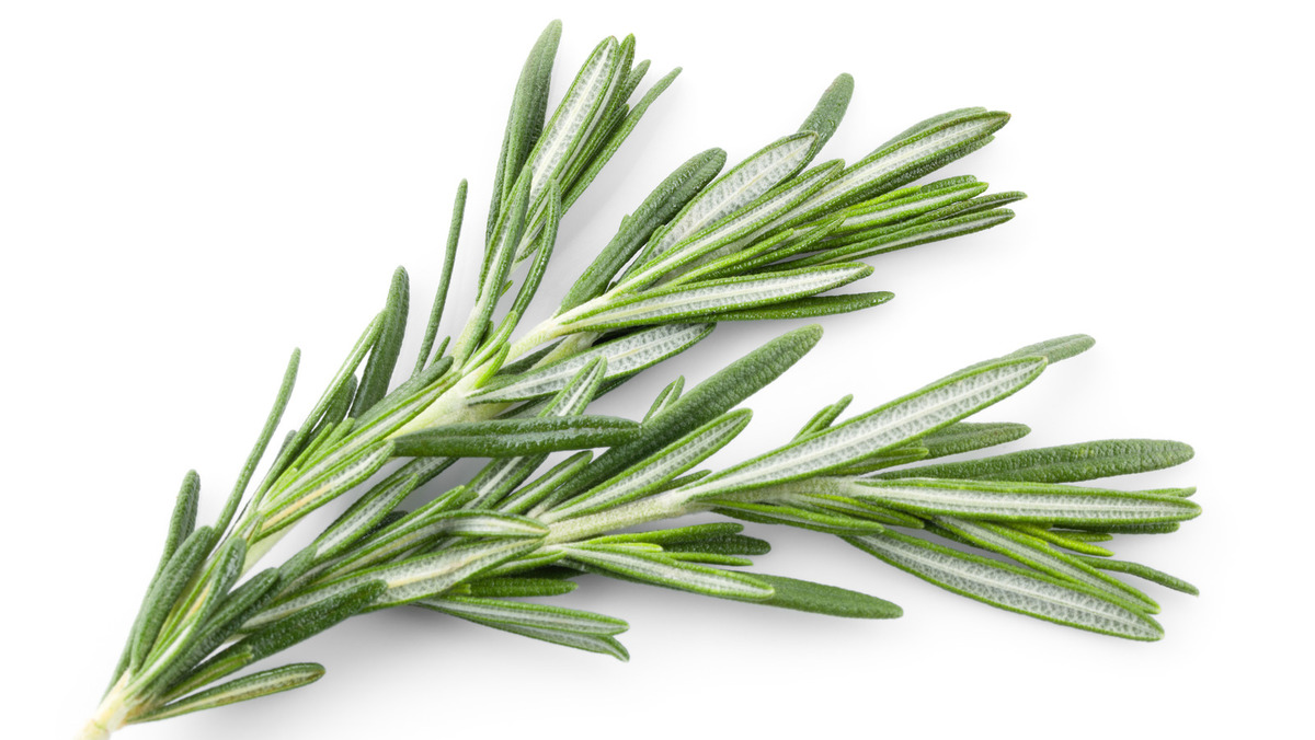 What Type Of Rosemary Is Best For Cooking