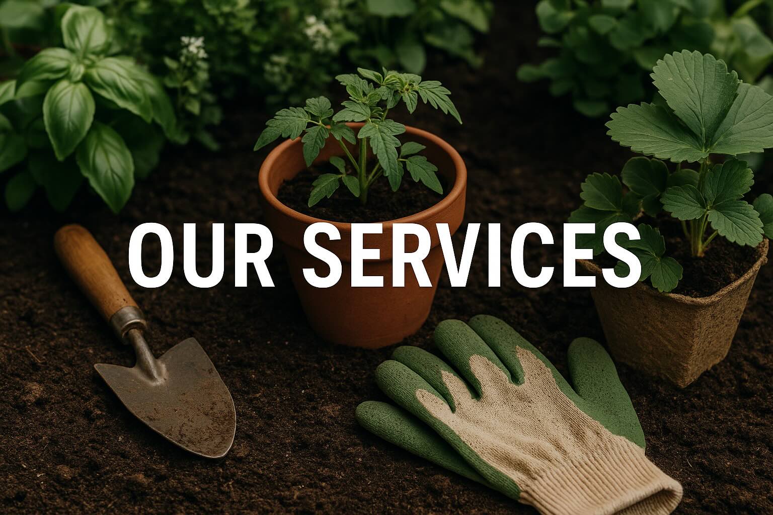 Our Services